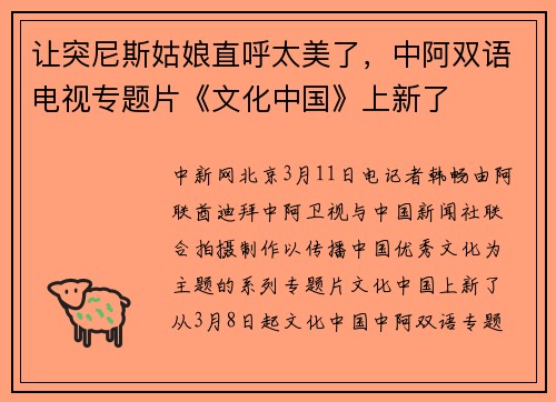 让突尼斯姑娘直呼太美了，中阿双语电视专题片《文化中国》上新了